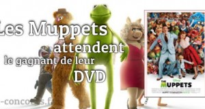 A Gagner : DVD Les Muppets