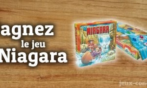 Gagnez le jeu de société Niagara