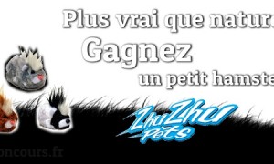 Concours : Zhu Zhu Pets