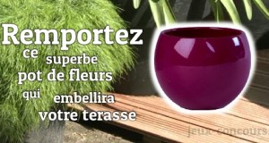 Gagnez ce superbe pot de fleurs design Fuchsia brillant