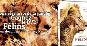 Rugissez de Plaisir en gagnant le DVD Félins