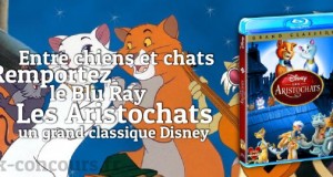 Chat ou Chien ? Rejoignez le camp des Aristochats en BluRay