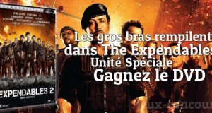 Les bonhommes sont dans le DVD The Expendables 2 !