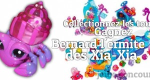 Le Xia Xia Bernard l’ermite attend son gagnant sur la plage