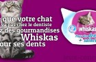 Gagnez des gourmandises Whiskas pour des dents saines