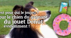 Non Homer, tu ne gagneras pas le jouet Donut pour chiens