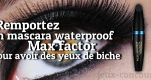 Mascara waterproof Max Factor à gagner