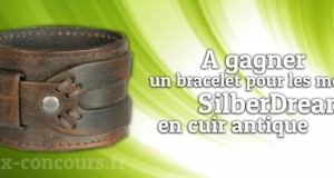 Concours : Bracelet SilberDream en cuir pour homme