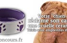 Gagnez une Ecuelle Trixie en céramique pour votre animal